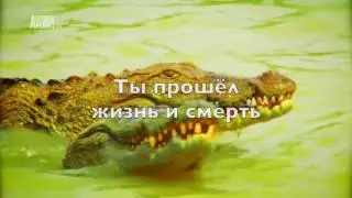 Спаситель Искупитель