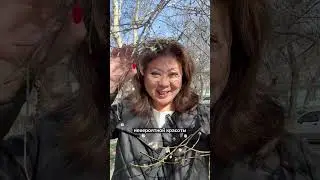 Когда самое красивое время в Узбекистане?