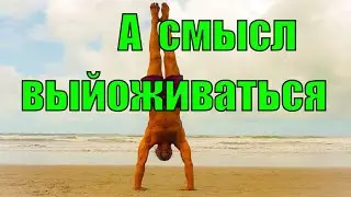 Асаны Эффект или Эффективность Как сесть в Лотос Эго Упражнения Йоги