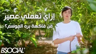 Latteria - إزاي تعملي عصير بفاكهة مش موسمها دلوقتي؟