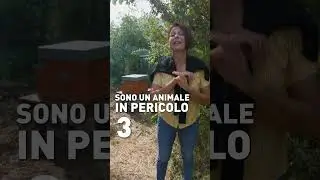 Ho messo le API! Ecco perché bisogna prendersene cura
