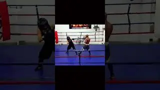 Female Boxer VS Male Boxer 🥊