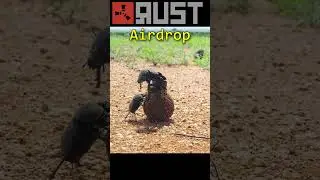 Airdrop in RUST 