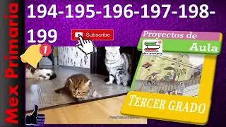 Proyectos de aula 3, pag, 194,195,196,197,198,199, Mi derecho a un trato digno, sin explotación.