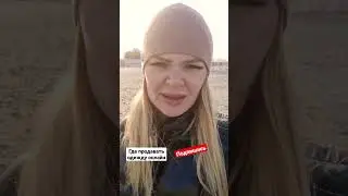 Как продавать одежду онлайн в Европе