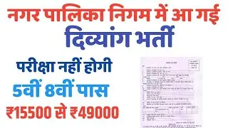 नगर पालिका दिव्यांग भर्ती बड़वानी/Divyang job Nagar Palika/5th 8th job 2024