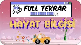 2. Sınıf Hayat Bilgisi 1. Dönem Full Tekrar ♻ 