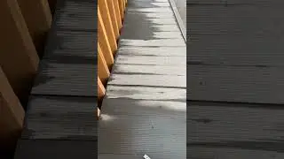 Неправильный монтаж полимерной террасной доски.