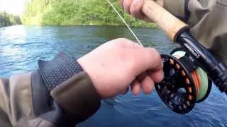 Pottu kalastaa vol 40- taimenen ja harjuksen perhokalastusta /salmon trout fly fishing