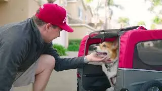 Introducing Allen's Dog Trailer!