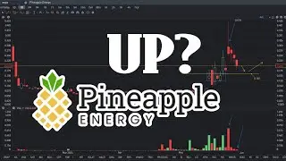 PEGY Stock Analysis - May 31 - PEGY Stock Price Prediction