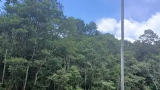PASSEIO NO PARQUE DO PEDROSO