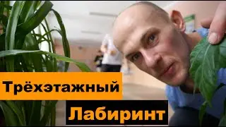 Трёхэтажный Спортивный  лабиринт. Ориент-щоу
