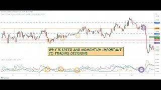 Why Is Speed & Momentum Important To Trading Decisions