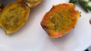 YOĞURRT ENZEL KAKTÜS NEDİR NASIL SÜNNET EDİLİR?