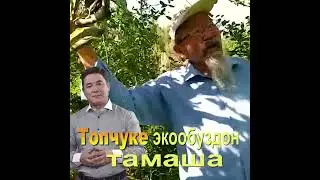 Майрамбек Осмонов менен Топчукенин тамашасы.