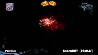 РС6913: Снегоboy