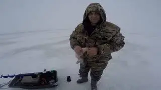 ЛОВЛЯ СУДАКА НА VIB река ОБЬ,СЕЗОН 2023-2024!