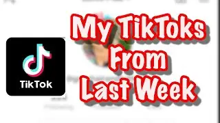 My TikTok Week In Review