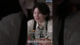 s.coups and jeonghan are the annoying partner 😂🤣 