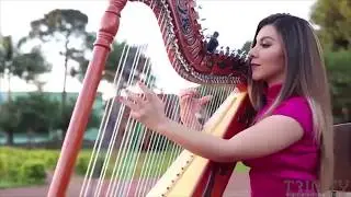 Female Harpist | Trinity Talent Qatar
