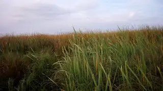 Вечерка по нулям