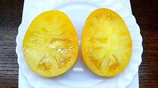 Jackass Yellow Dwarf. Томат - Желтый осел