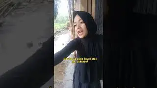 malah ngeyel