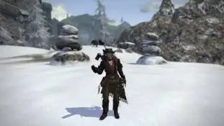 FFXIV Heavensward - Emote Haurchefant