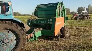 Разгар сенокоса. Рекордный урожай донника! №26