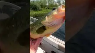 You gonna be mad