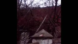"Любимый город" Чернигов- Стрижень