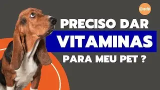 245 | POSSO DAR VITAMINA PARA MEU CACHORRO E GATO?