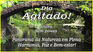 {MF} Oásis de Meditação: Harmonia entre Natureza e Arquitetura 🌿🧘‍♂️