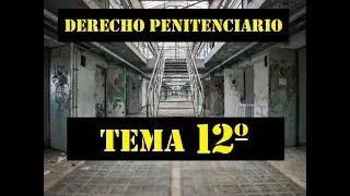DERECHO PENITENCIARIO del TEMA 12º
