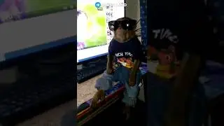 СИГМААА 😎🔥 #сигма #pov #rek #а4 #story #brother #monkey #майнкрафт #tiktok #omega