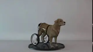 Dog Wheelchair 3D Model Blender