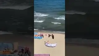 турецкие Джентльмены удачи! 