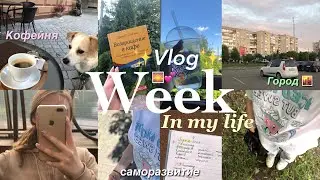 a week in my life ✨ // новая жизнь🇺🇦, «продуктивные» дни, переезд в Луцк 🏰*vlog