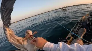 A Sloppy Day Of Kayak Fishing
