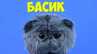 ИГРУШКА БУДИ БАСА - КОТ МАЛЫШ БАСИК (Basik Baby)