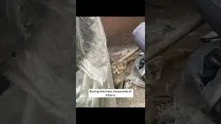 How we help cats outside