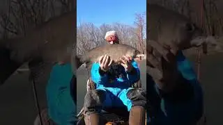 What kind of fish is this ?!? #fishing