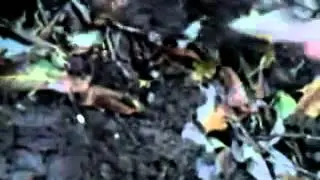 ЭТО ПИЗДЕЦ СМОТРЕТЬ ВСЕМ