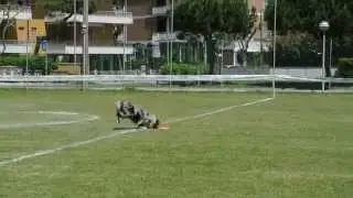 Maia AWI Italy Qualify 2012 Lido di Savio 12_05_2012