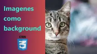 como poner una IMAGEN como BACKGROUND con CSS y HTML fácilmente! 🤯🔥 | Tutorial