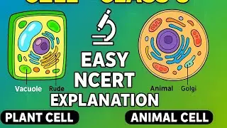 Cell Structure and Functions | NCERT Chapter 8 | Easy Explanation