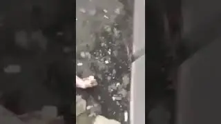 Судья выбросил взятку в окно, когда увидел ФСБ