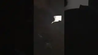 These kids fighting lol 😂
