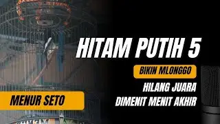 HITAM PUTIH 5 || MENUR SETO HILANG JUARA DIMENIT MENIT AKHIR 😢😢😢